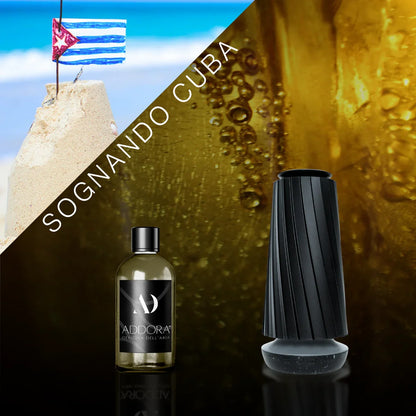 Kit Combo Dino + fragranze Ambrato