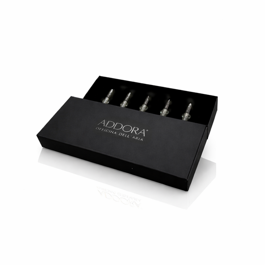 Discovery Kit | sample 5 pezzi