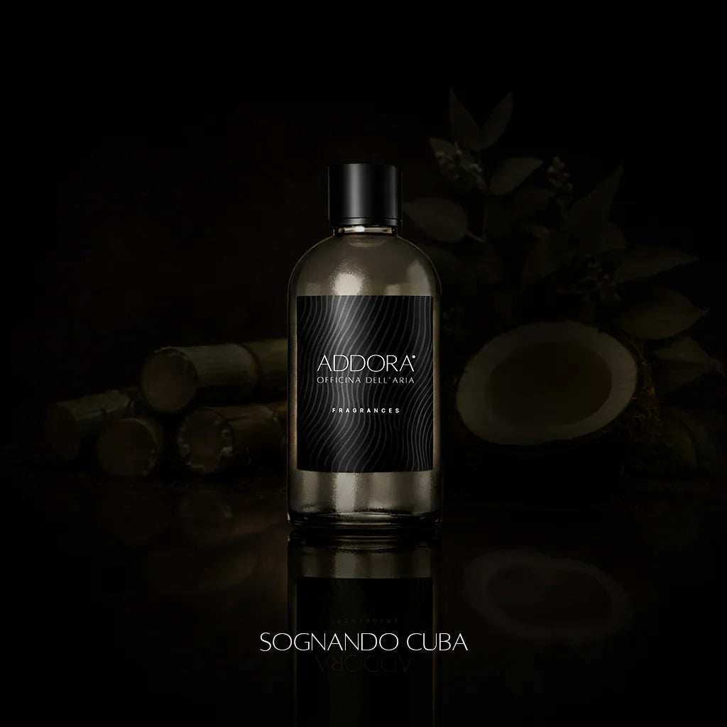 Fragranze | Categoria Ambrato