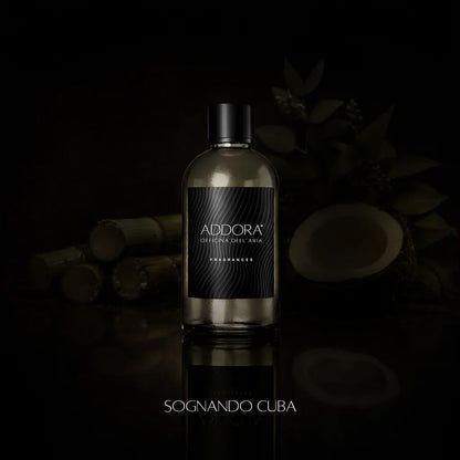 Fragranze | Categoria Ambrato