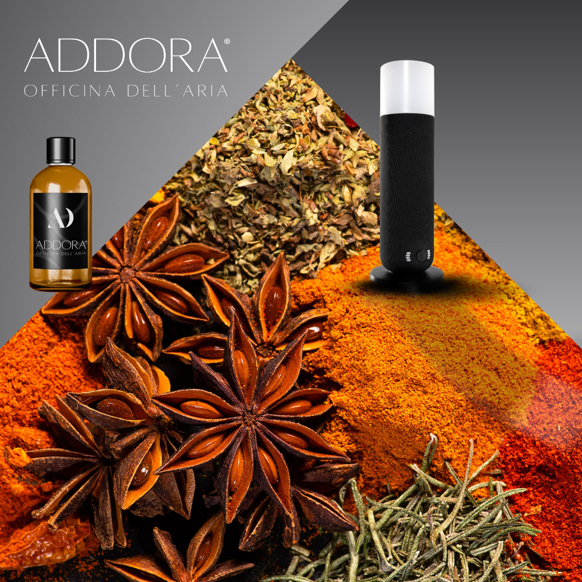 Kit Combo Dina + Fragranze Speziato