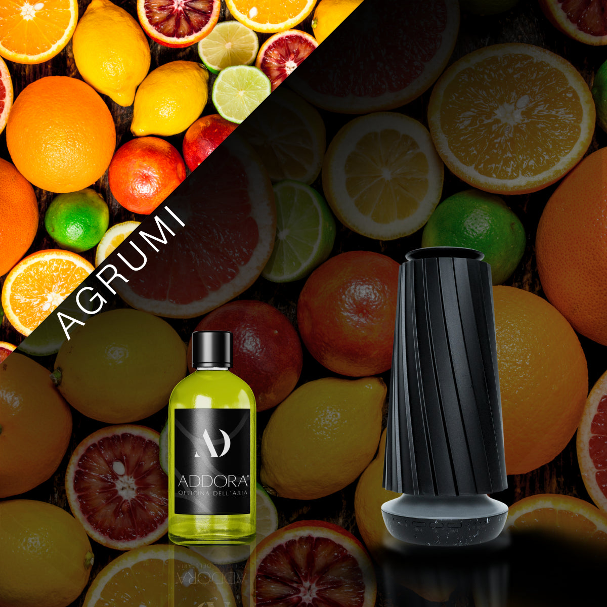 Kit Combo Dino + Fragranze Agrumi