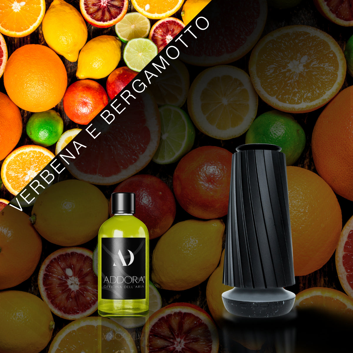 Kit Combo Dino + Fragranze Agrumi