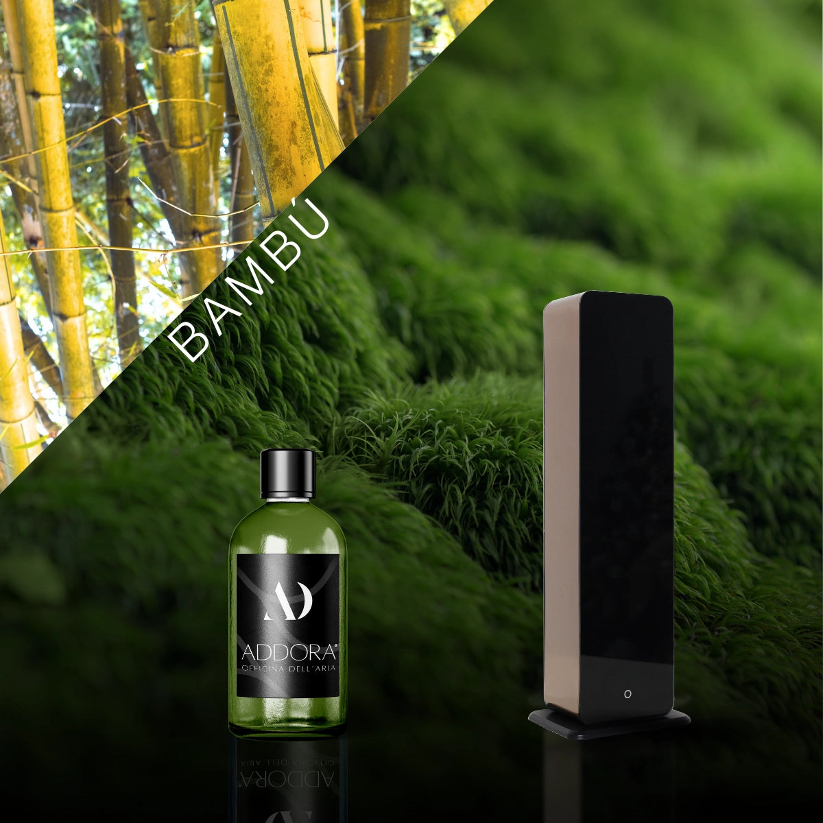 Kit Combo Lia + Fragranze Green
