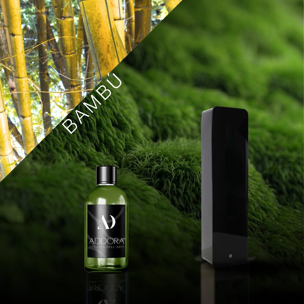 Kit Combo Lia + Fragranze Green