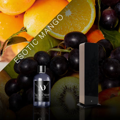 Kit Combo Lia + Fragranze Fruttato