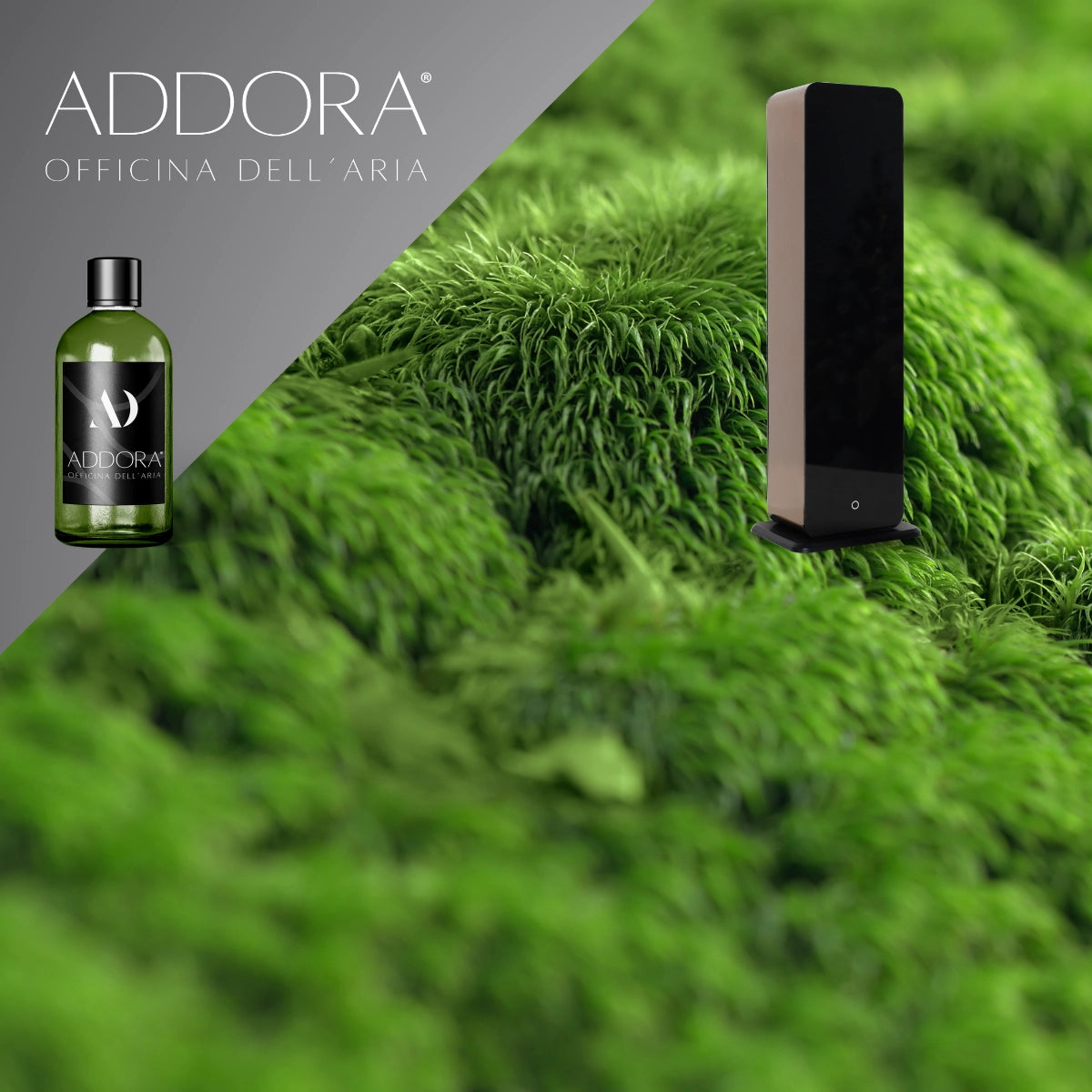 Kit Combo Lia + Fragranze Green