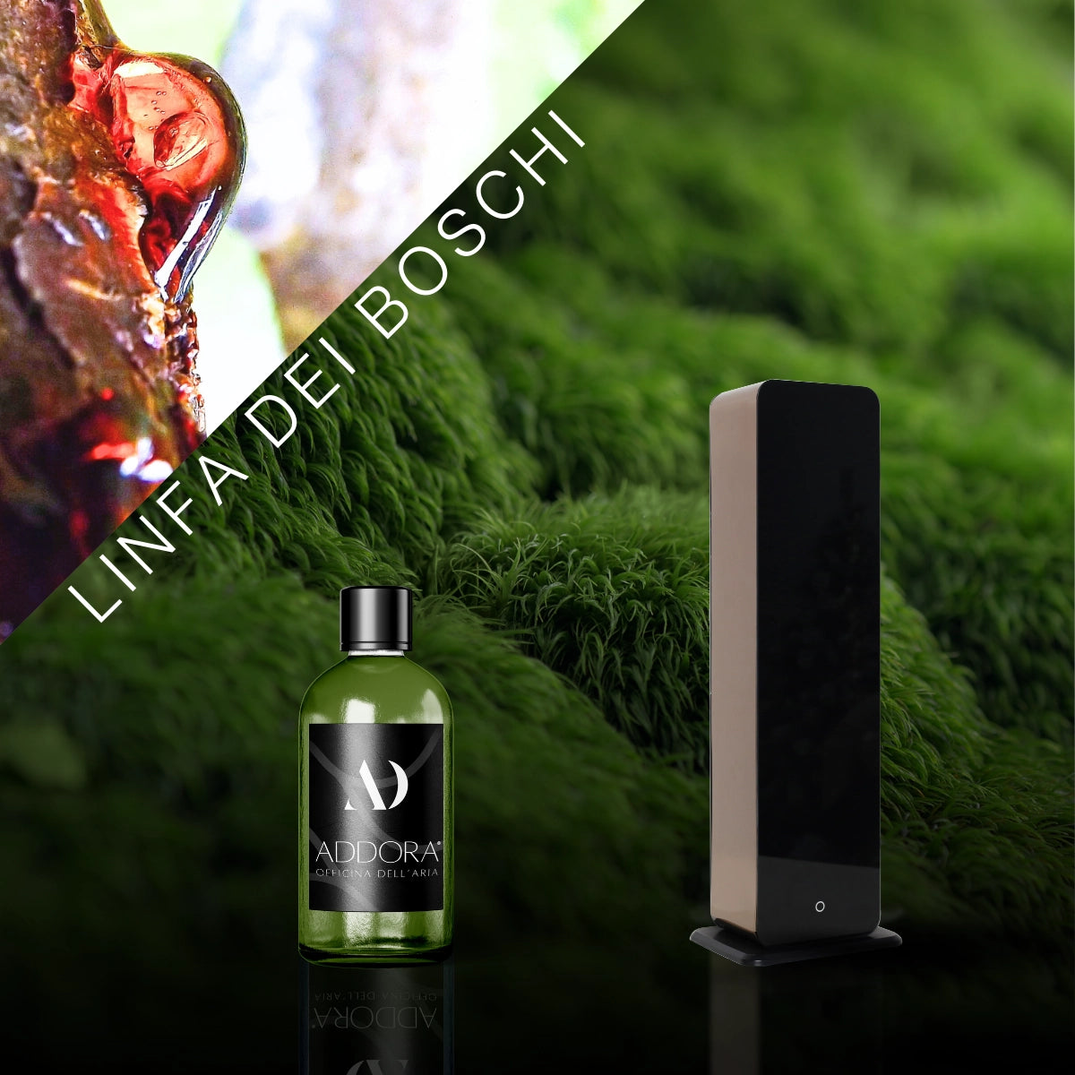 Kit Combo Lia + Fragranze Green