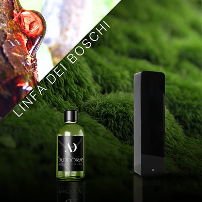 Kit Combo Lia + Fragranze Green