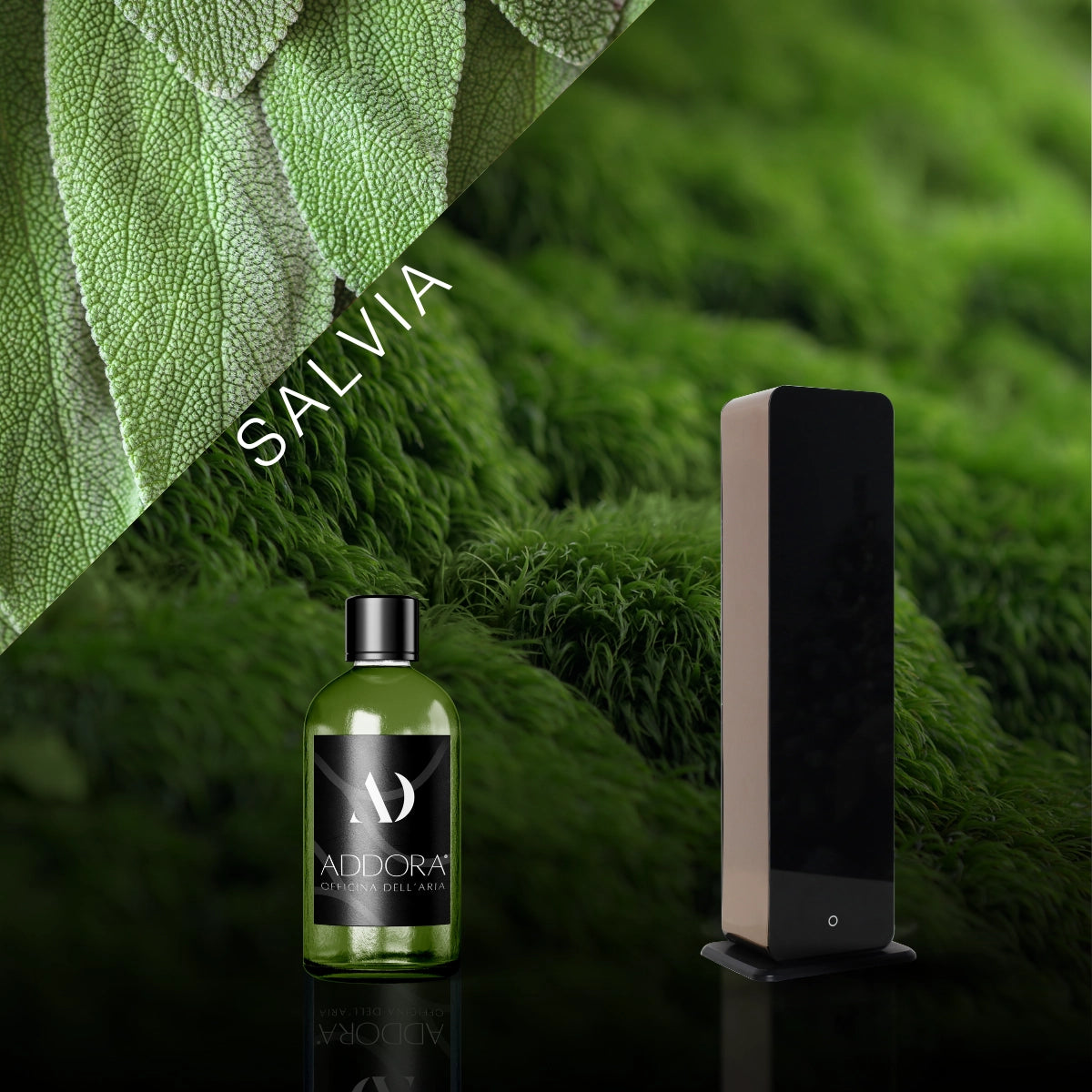 Kit Combo Lia + Fragranze Green
