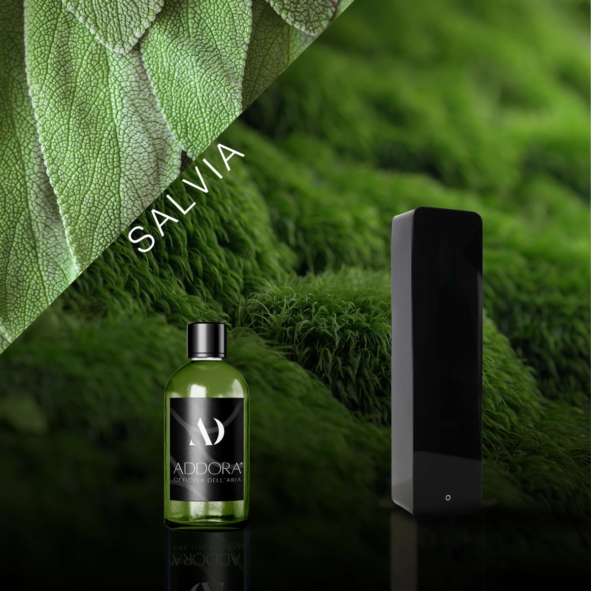 Kit Combo Lia + Fragranze Green