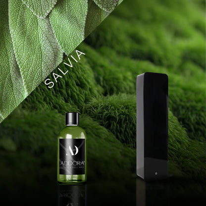 Kit Combo Lia + Fragranze Green
