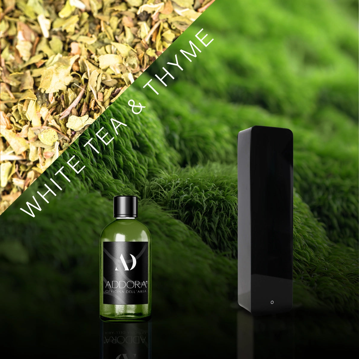 Kit Combo Lia + Fragranze Green