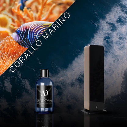 Kit Combo Lia + Fragranze Marino