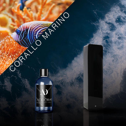 Kit Combo Lia + Fragranze Marino