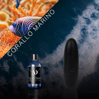Kit Combo Mio + Fragranza Marino