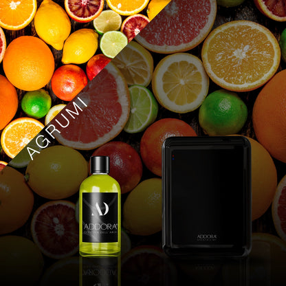 Kit Combo Nino + Fragranze Agrumi