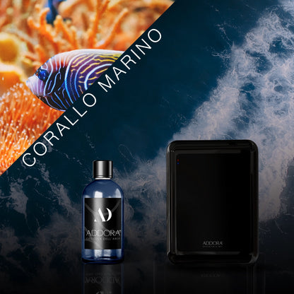 Kit Combo Nino + Fragranze Marino