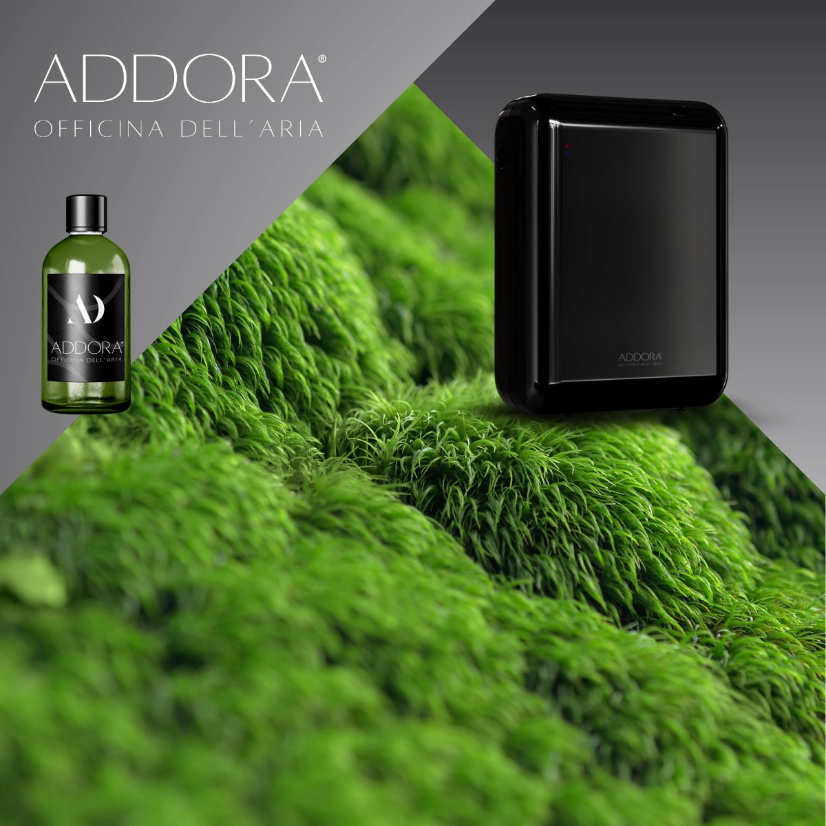 Kit Combo Nino + Fragranze Green