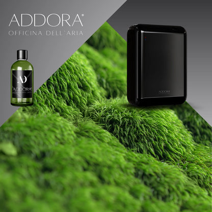 Kit Combo Nino + Fragranze Green