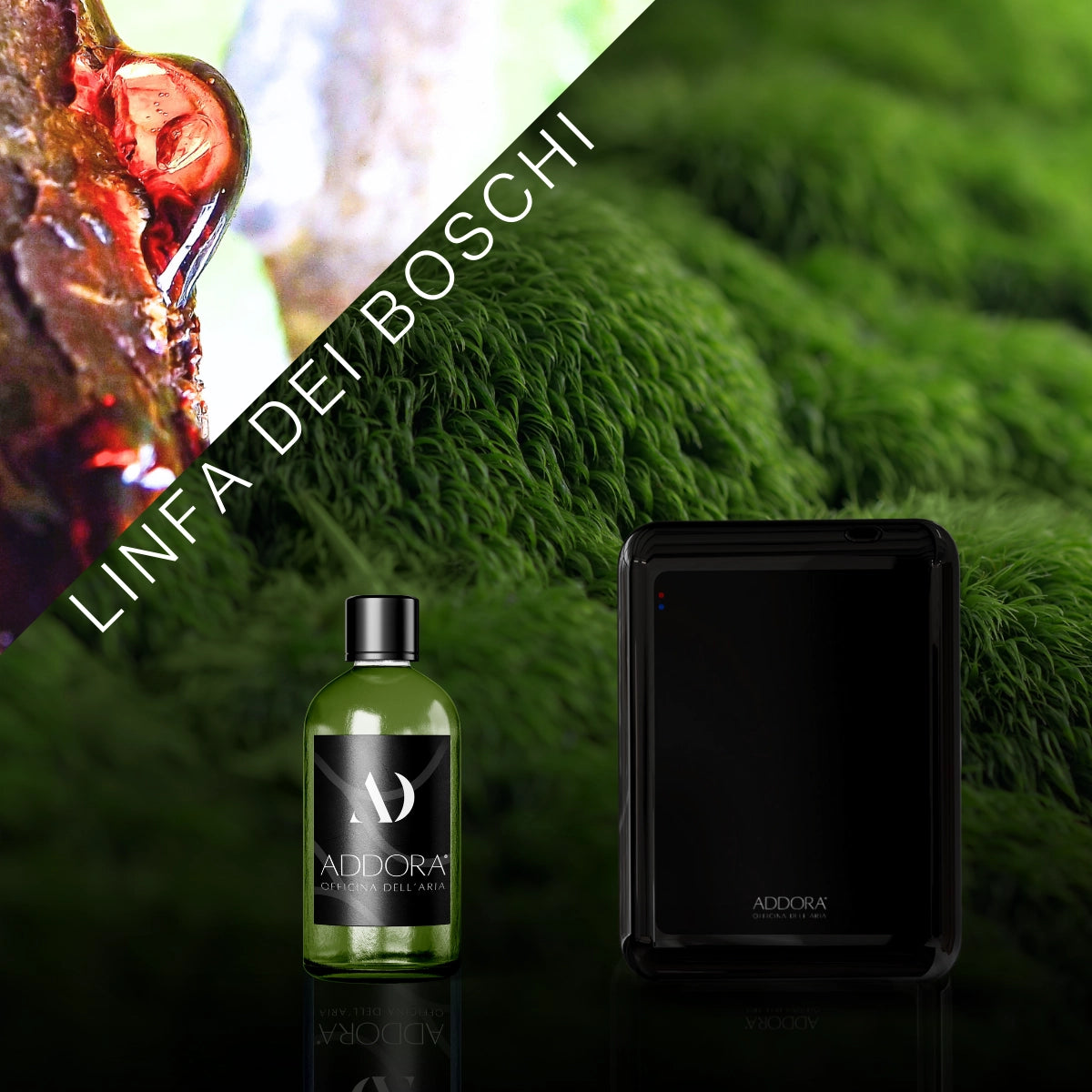 Kit Combo Nino + Fragranze Green
