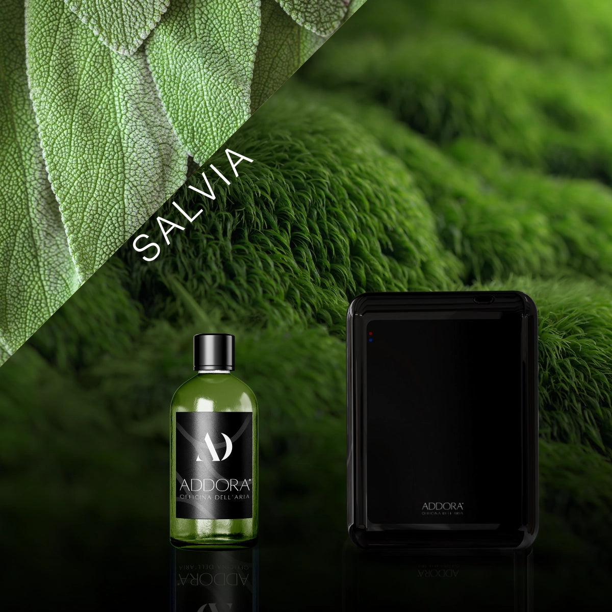 Kit Combo Nino + Fragranze Green