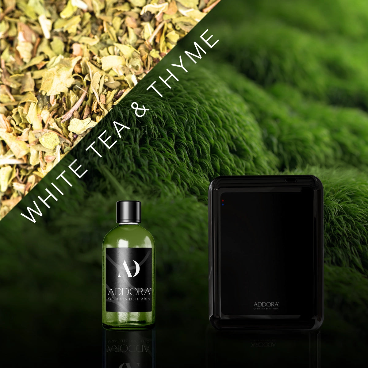 Kit Combo Nino + Fragranze Green